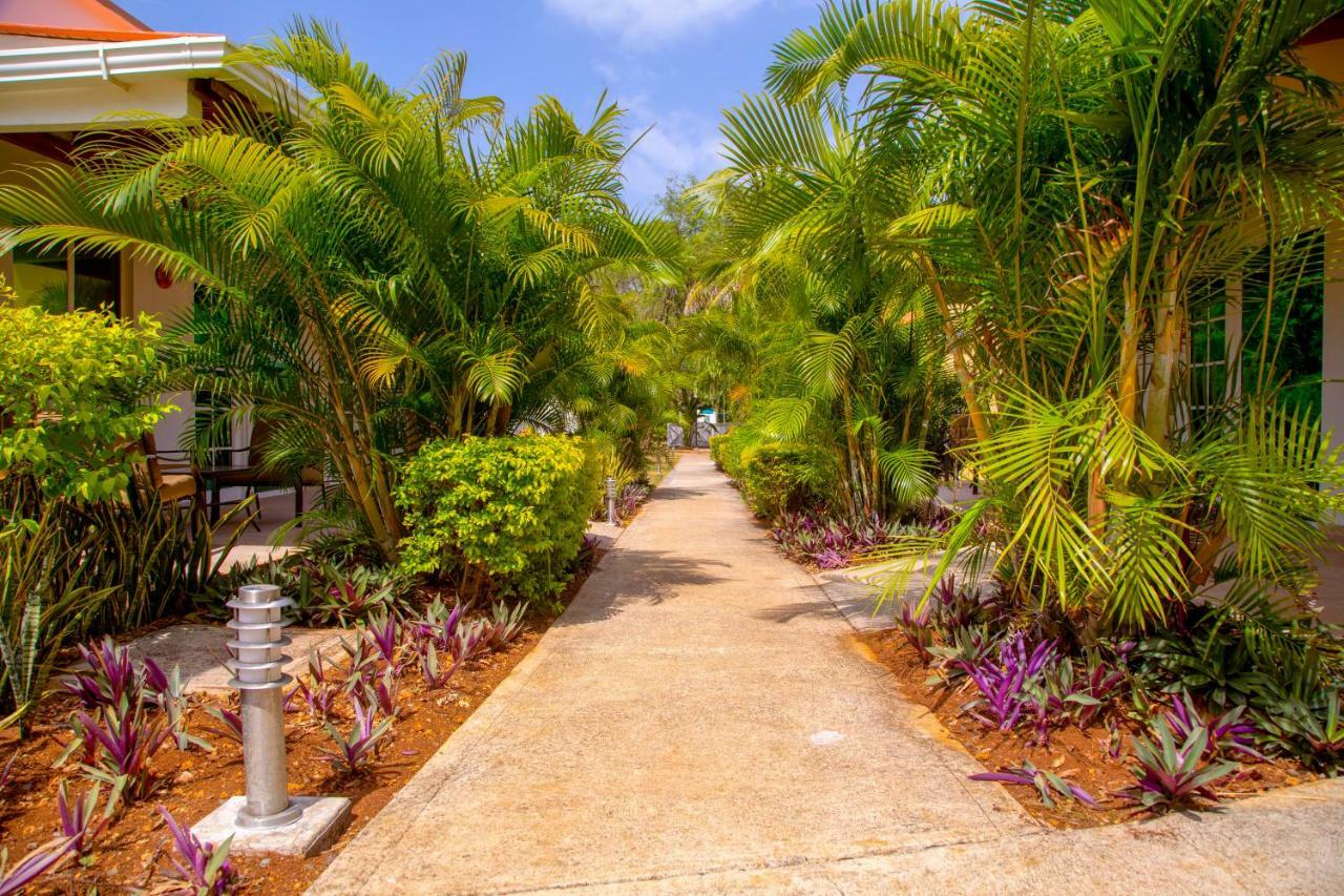 Solare Sai Ecohotel (Adults Only) San Andrés 外观 照片